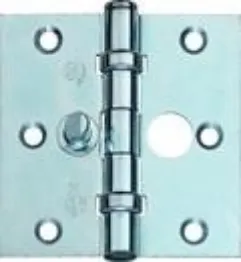 Afbeelding voor categorie Kogellagerscharnieren SKG**